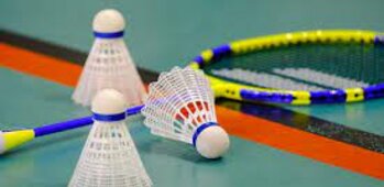 Vimy Badminton Club