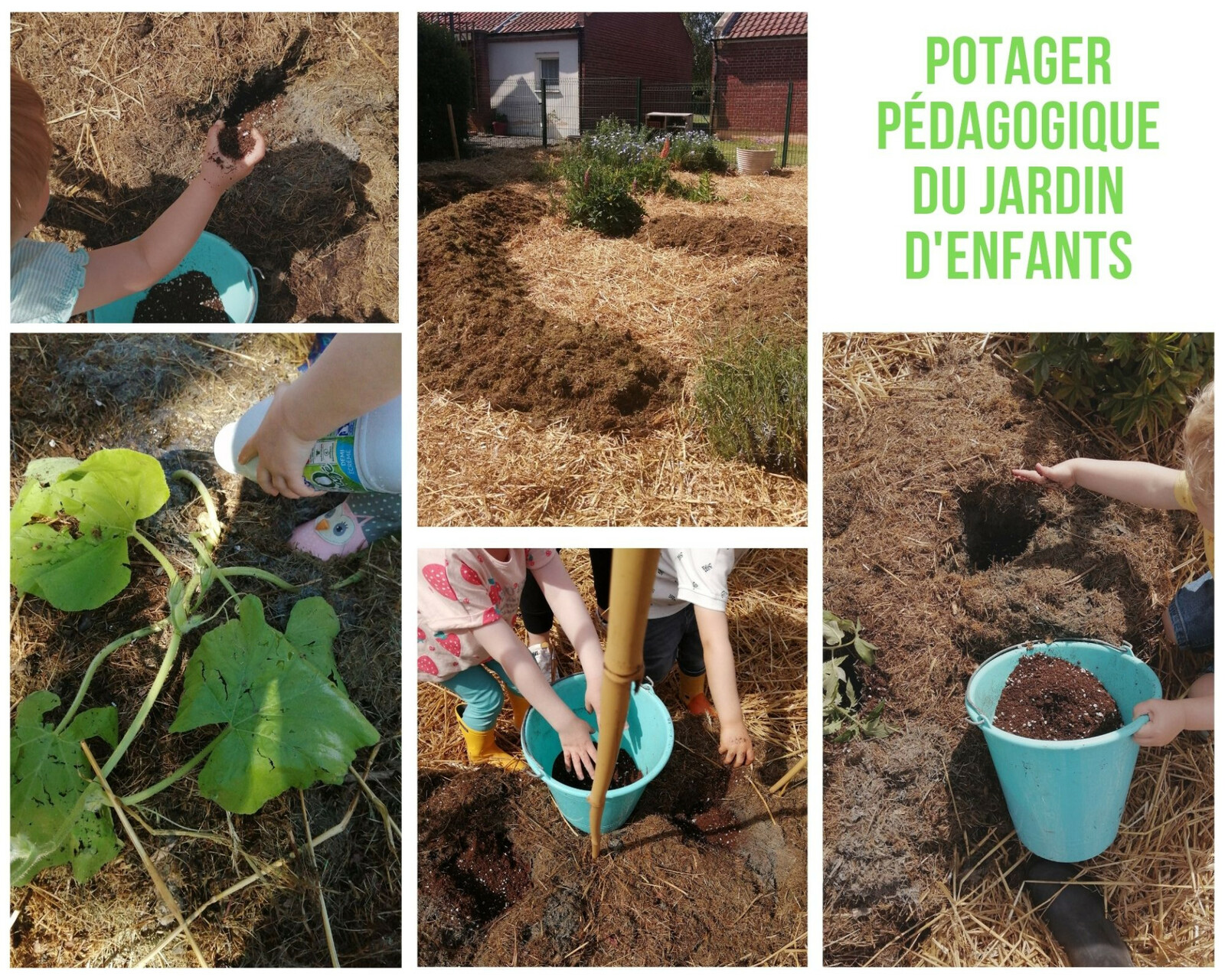 Les 10 commandements du jardinier au potager - Louvre-Lens