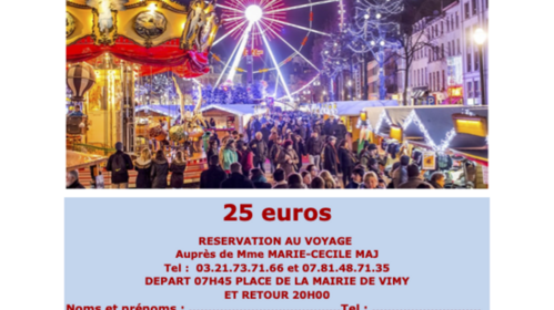 Voyage marché de Noël de Bruxelles